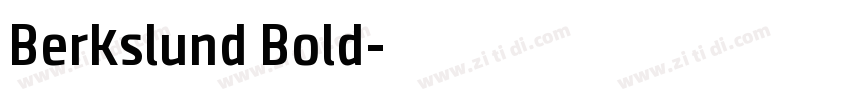 Berkslund Bold字体转换